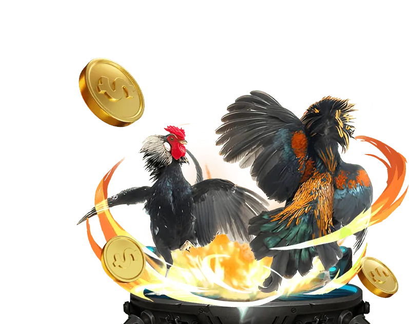 Hình ảnh quy tắc trò chơi và cá cược công bằng vz99